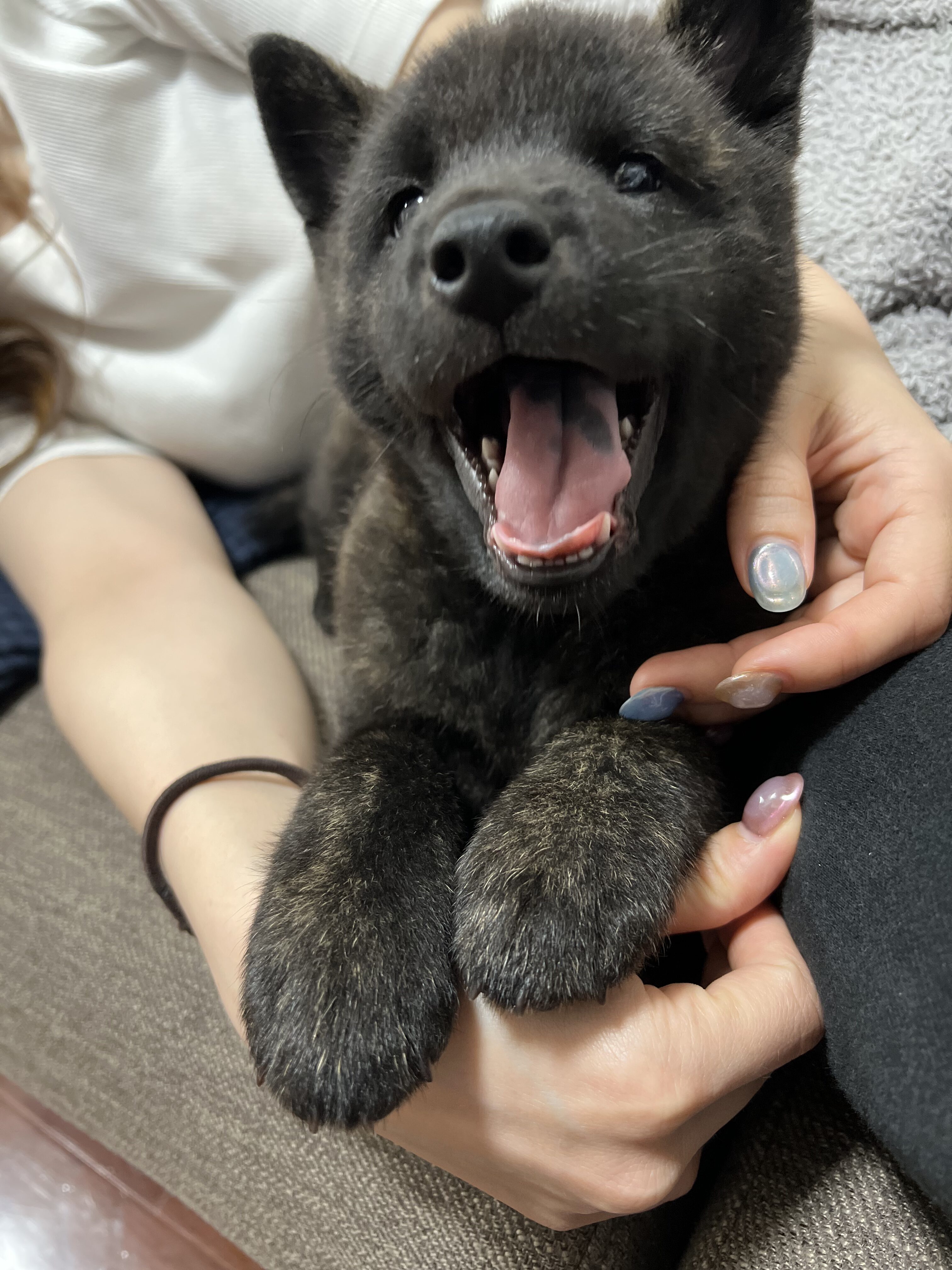 子犬成長_ (15)