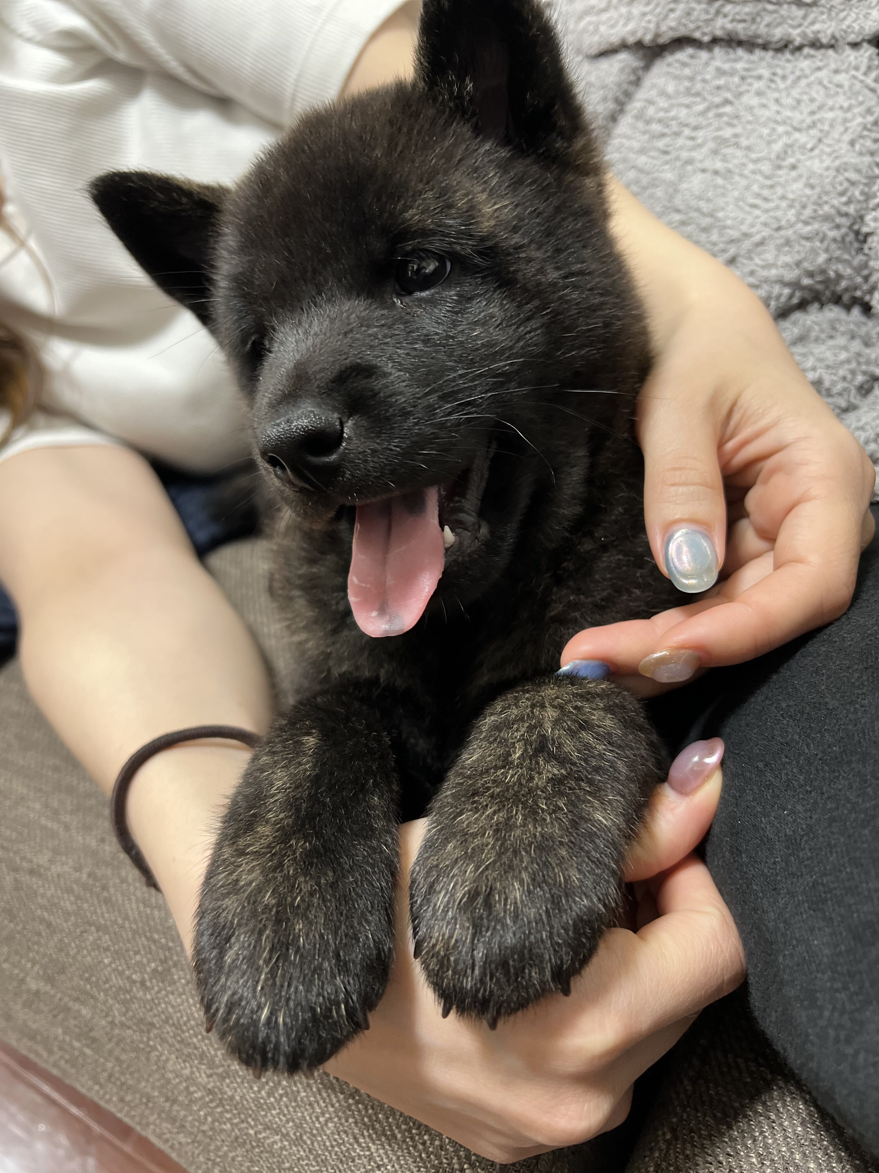 子犬成長_ (13)